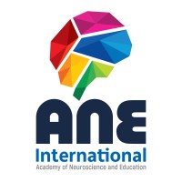 ANE International UK logo - Similar company to Widelanes