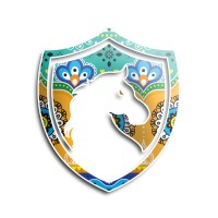 Rover Pakistan logo - Similar company to Academy Of Martial Arts