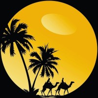 Discover Morocco Tours logo - Similar company to Fifthsens-Lcs
