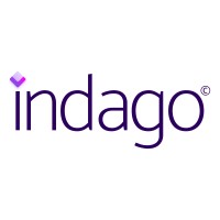 IndagoDev logo - Similar company to Daitex Software