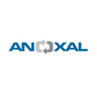 ANOXAL logo - Similar company to Vmap Polymers