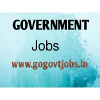 Government jobs logo - Similar company to Top Talent Recruiter