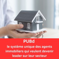 PUBd - le système des Agents Immobiliers leaders de leur secteur logo - Similar company to Connexus