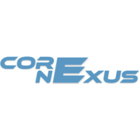 Core Nexus logo - Similar company to Corenexus
