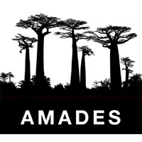 AMADES logo - Similar company to Lped