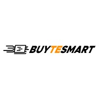 BuyTESmart logo - Similar company to Btf-Lighting