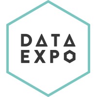 Data Expo logo - Similar company to Data Talents