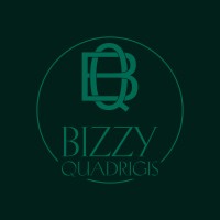 Bizzyquadrigis.com logo - Similar company to Gv Trans-Log