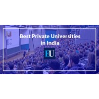 Top Private University in India logo - Similar company to Avyud Academy Of Digital Marketing
