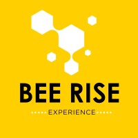 Bee Rise Experience logo - Similar company to Vidya.