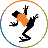 Big Frog St. Petersburg logo - Similar company to Blue Ink Studio