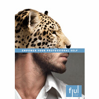 FJUL logo - Similar company to Artist Screen