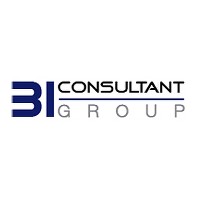 BI Consultant Group logo - Similar company to Assuredit Consulting Ltd