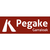 Transportes Pegake S.L. logo - Similar company to Asmatu Sl