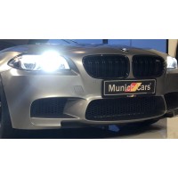 Munich Cars ApS logo - Similar company to Cars Export