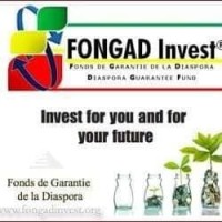 CDI Canada Fongad-Invest logo - Similar company to Value Crops Africa & Trade