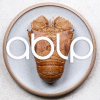 Australian Bay Lobster Producers Ltd logo - Similar company to Unity Distribution
