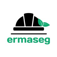 Ermaseg Soluções logo - Similar company to Bersano Silva