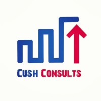 CUSH CONSULTS [Tax, Audit, Stocktakers & Inventory Managers] logo - Similar company to Inventory&Audit