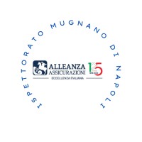Alleanza Assicurazioni Mugnano di Napoli logo - Similar company to Vikfrid Consulting
