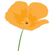Wild Poppy Company logo - Similar company to Dynamic Pure Llc