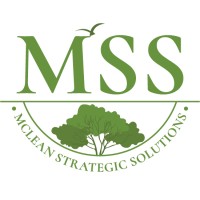 McLean Strategic Solutions logo - Similar company to Bel Perfumes Ltd
