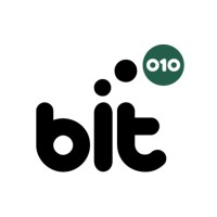 bit010 logo - Similar company to Riverscape Web & Marketing