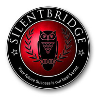 Silentbridge Group logo - Similar company to Propchain