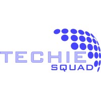 Techie Squad (P) Ltd logo - Similar company to Techosys