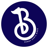 Bombs Darts Birds logo - Similar company to Hits Like...