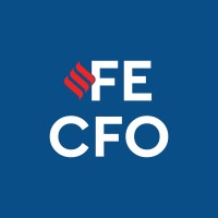 FE CFO logo - Similar company to Fe Connect