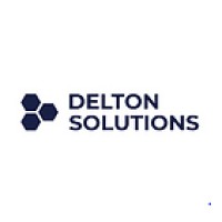 Delton Solutions logo - Similar company to Rakirs Systems