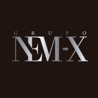 GRUPO NEM-X logo - Similar company to Coplor