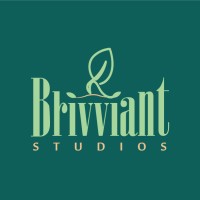Brivviant logo - Similar company to Rg3D - Animation Studio