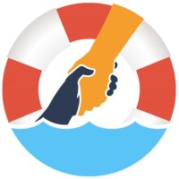 no-DROWN® logo - Similar company to Dockme Aps