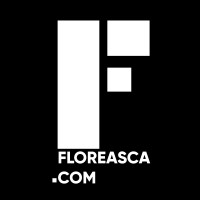 Floreasca.com logo - Similar company to Zn Pr & Events
