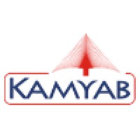 Kamyab Infotech Pvt Ltd logo - Similar company to Cemdocs Technologies