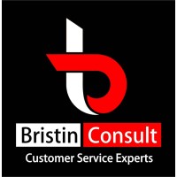 Bristin Consult (Business Development Consultancy) logo - Similar company to Premier Business Middle East & Africa