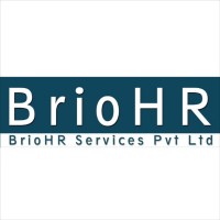 BrioHR Services logo - Similar company to Vision Computers, Inc.