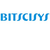 Bitscisys logo - Similar company to Speedmodi Webserver