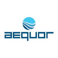 Aequor, Allied Division logo - Similar company to Aequor, Travel Nursing Division