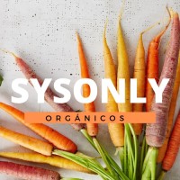 Sysonly logo - Similar company to Lit Electronic Technology Co., Ltd