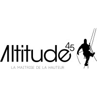 ALTI 45 logo - Similar company to Msbth