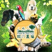 Farm In The City Malaysia logo - Similar company to Mr. Absorber Hq