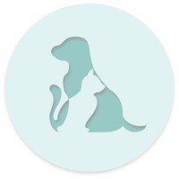 Yopin UG logo - Similar company to Peter Stahlhacke Gmbh