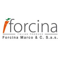 Forcina Marco & C. S.a.s logo - Similar company to Aop Csc Lazio