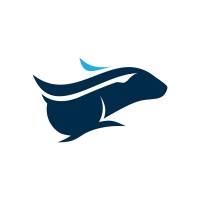 Wet Rabbit Express Car Wash logo - Similar company to Energy Simply