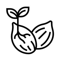 Silberhaze Genetics logo - Similar company to Tilth Soil