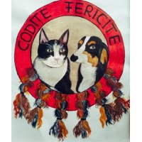 Consultanță Pentru Codițe Fericite SRL logo - Similar company to Krioft