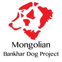Mongolian Bankhar Dog Project
